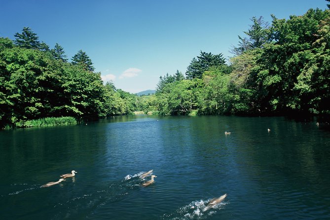 Tour With a Dedicated Car! Visiting the Basic Tourist Spots in Karuizawa (Half Day Course / Japanese - Meeting and Pickup Details