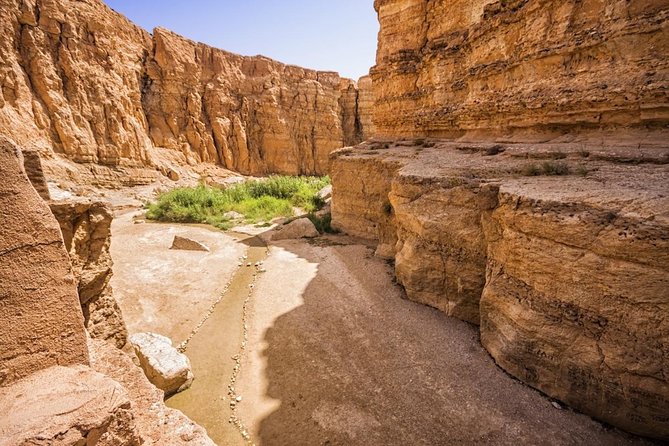 Tozeur Private Half-Day Tour: Tamerza, Chebika and Mides Canyons - Customer Reviews