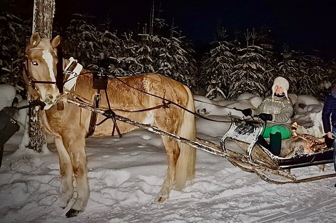 Traditional Finnhorse Sleigh Ride at SCV (3km) - Flexible Cancellation Policy Details