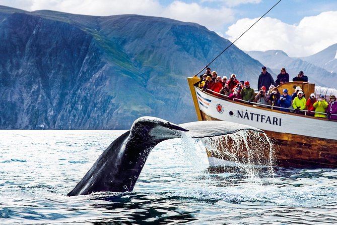 Traditional Oak Ship Whale Watching Tour From Husavik - Logistics and Meeting Point Details