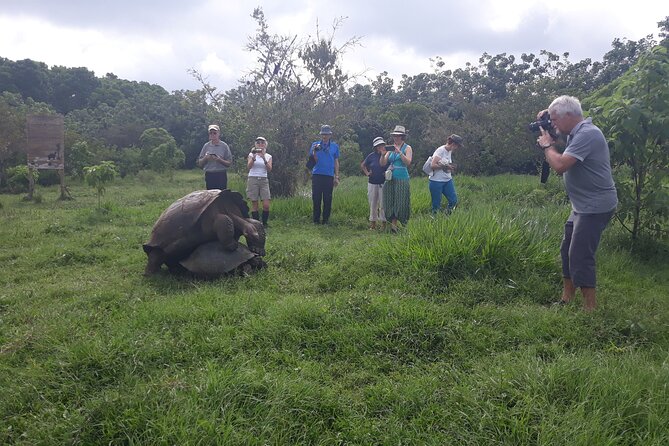 Transfer Airport-Hotel in Galapagos Santa Cruz With Visit to Giant Tortoises - Meeting and Pickup Details