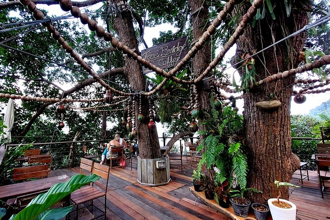 Tree Bridge Cafe And Zipline - Jungle Flight Adventure in Koh Samui - Expectations and Requirements