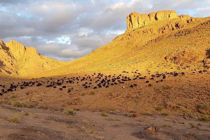 Trek Jebel Saghro Morocco 8 Days - Day 2: Marrakech to Tagdilte Village