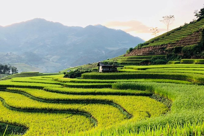 Trekking Sapa 1 Day - the Best Terraced Rice Field - Reviews and Feedback From Travelers