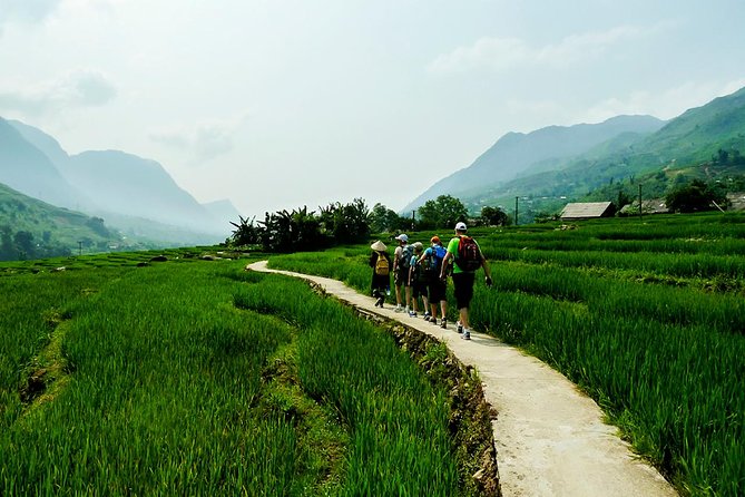 Trekking Through Rice Terraced Fields - 1Day - Reviews and Ratings Overview
