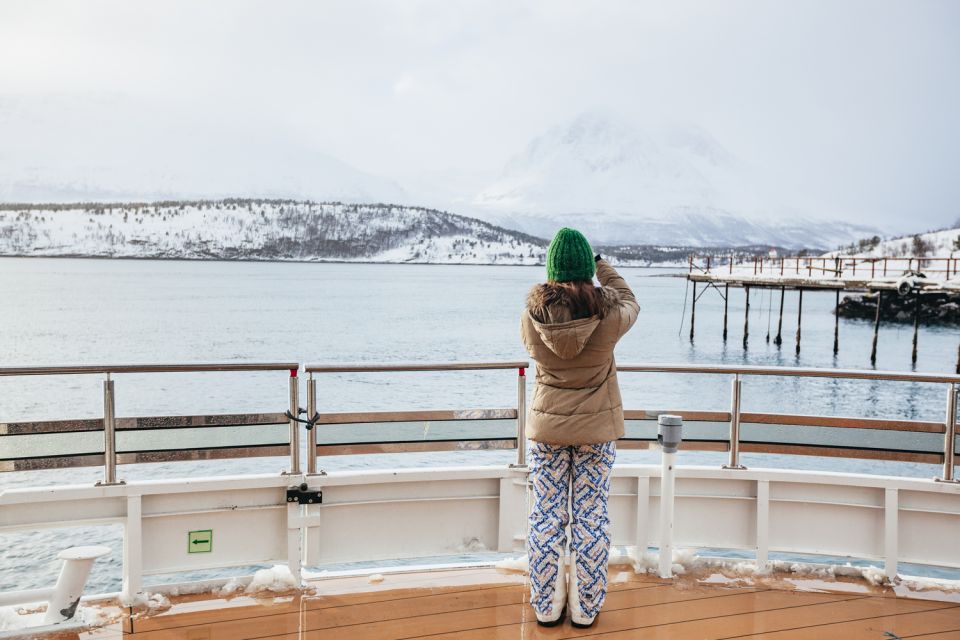 Tromsø: Arctic Fjord Cruise by Hybrid-Electric Catamaran - Activity Highlights