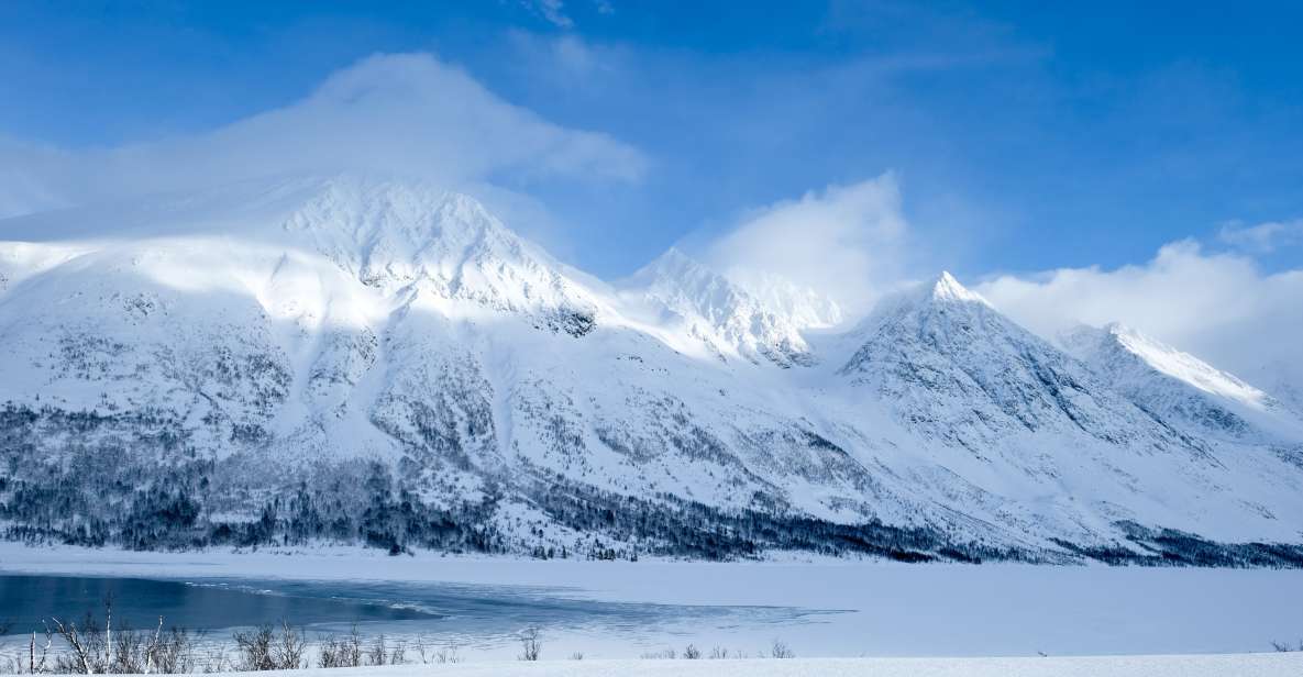 Tromsø: Arctic Landscape and Fjord Tour - Wildlife Spotting Opportunities