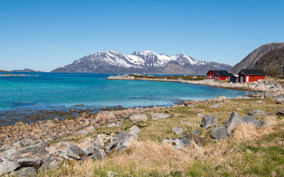 Tromsø: Arctic Landscapes Sightseeing With Citizen Science - Landscapes and Wildlife