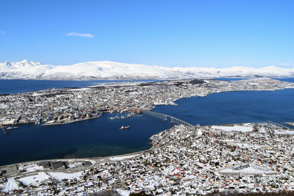 Tromso: Arctic Panorama Cable Car Excursion - Activity Details and Highlights