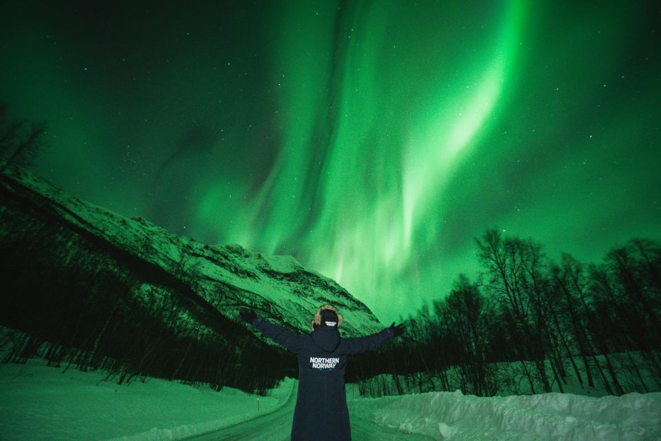 Tromsø: Aurora Borealis Chase With Guide, Meals & Campfire - Experience Highlights