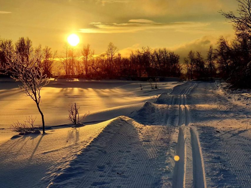 Tromsø: Cross Country Course With a Guide and Views - Experience and Inclusions