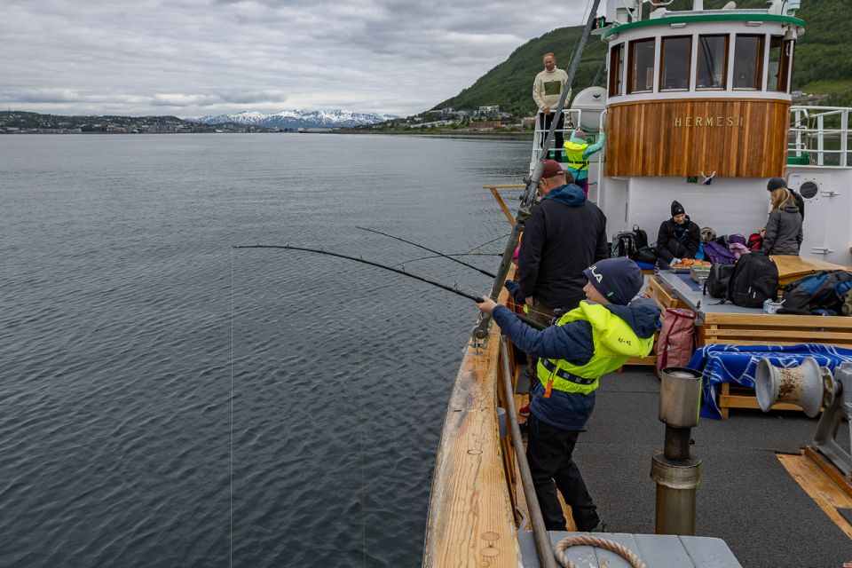 Tromsø: Fishing & Fjord Cruise - Experience Highlights