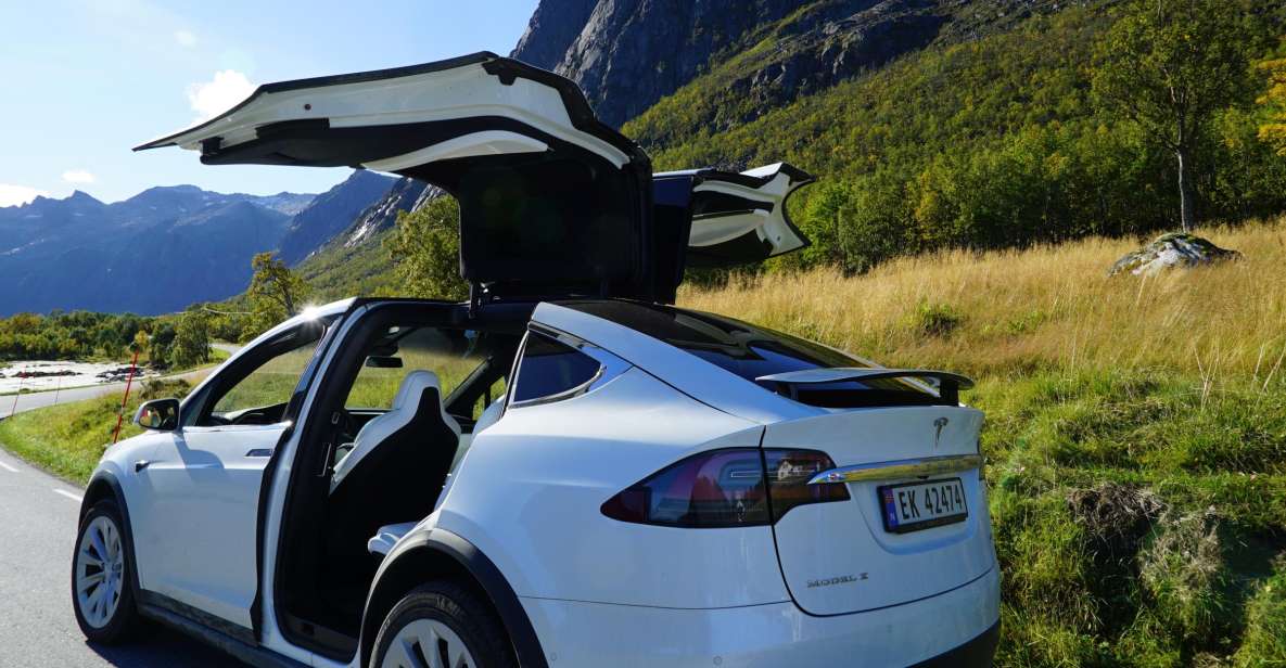 Tromsø: Fjord Sightseeing in a Tesla X Luxury Electric Car - Booking Information