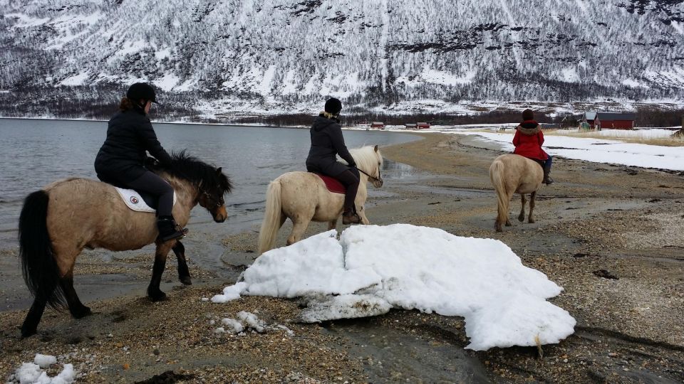 Tromsø: Lyngen Horseback Riding Experience - Experience Highlights