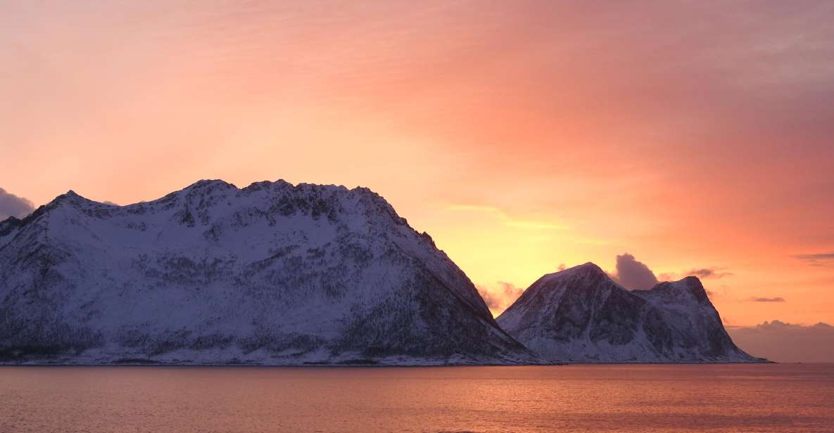 Tromsø: Midnight Cruise - Inclusions