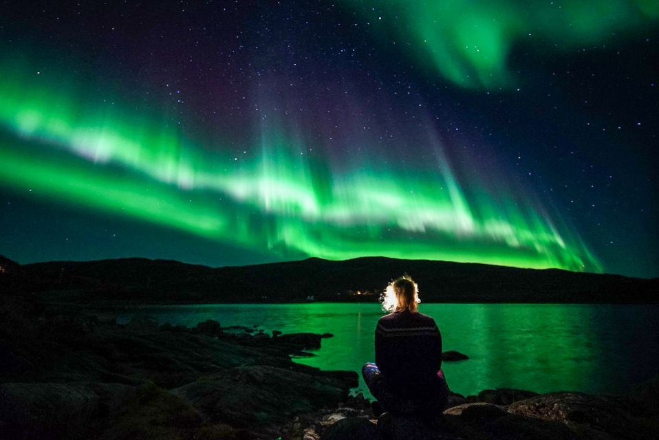 Tromsø: Northern Lights Chase Minibus Tour With Campfire - Activity Highlights