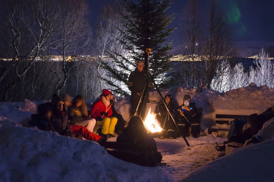 Tromsø: Northern Lights Husky Visit With Traditional Dinner - Experience Highlights