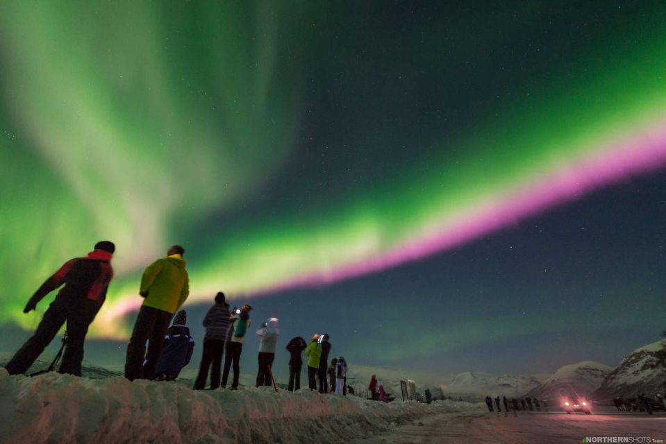 Tromso: Northern Lights Photography Bus Tour - Tour Logistics