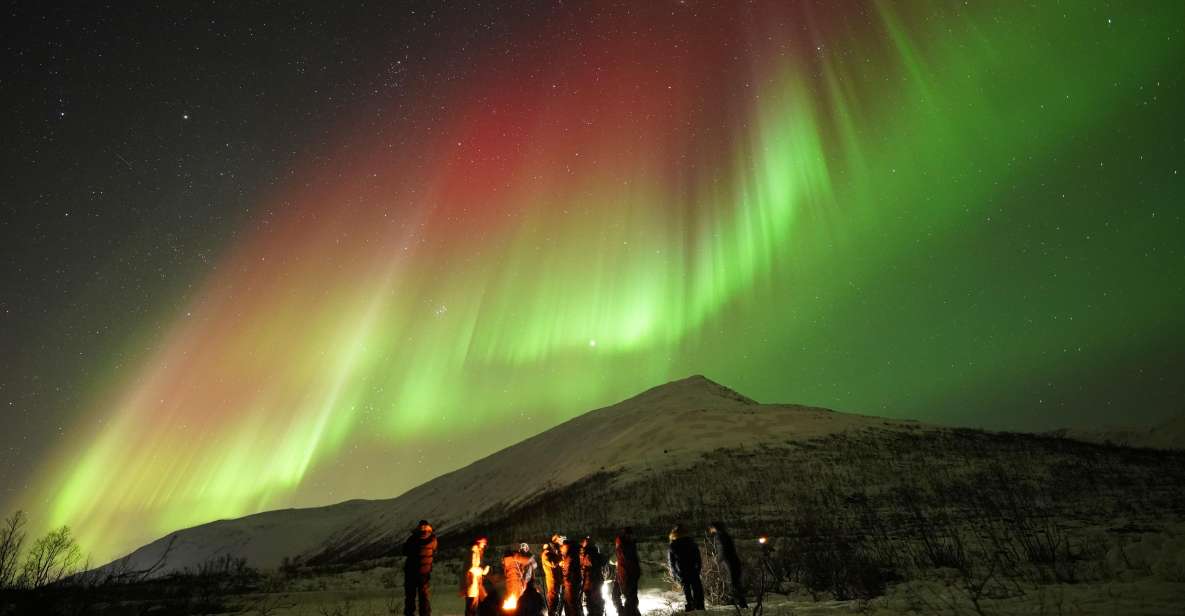 Tromsø: Northern Lights Tour With Free Professional Portrait - Experience Highlights
