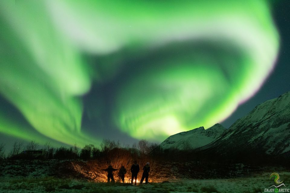 Tromsø: Northern Lights Trip With Campfire and Snacks - Experience Highlights