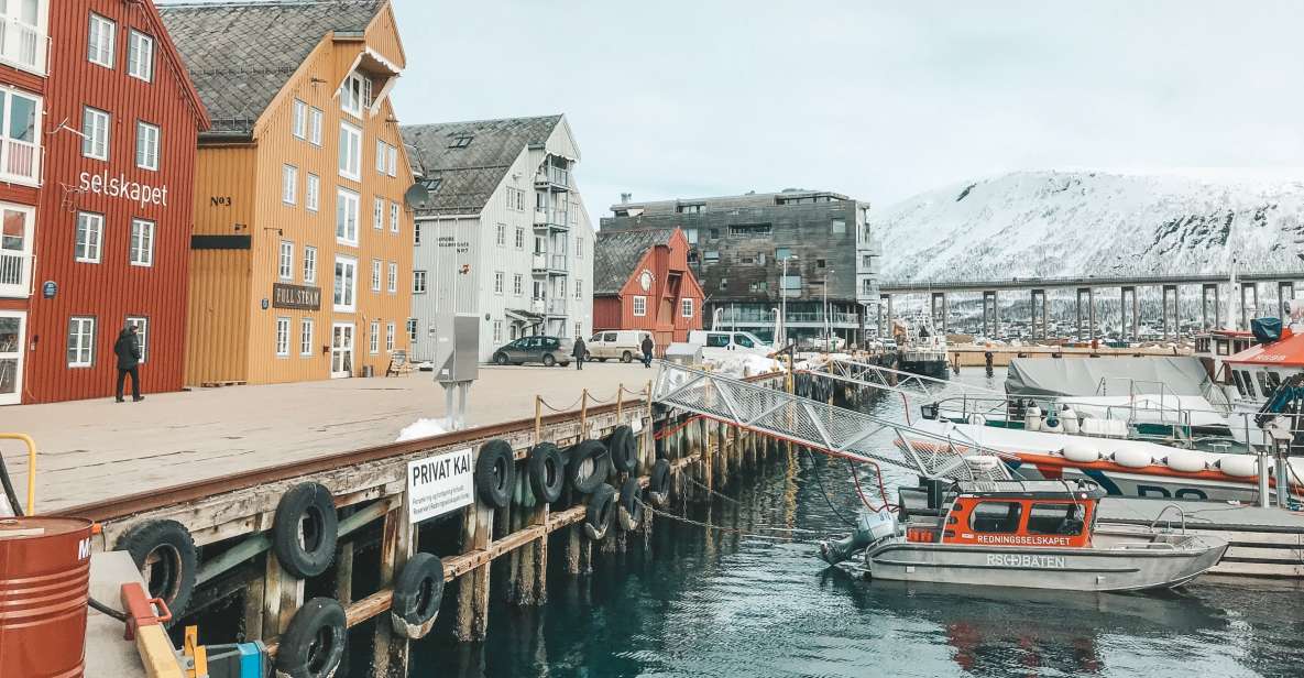 Tromsø: Private City Tour - Experience Highlights