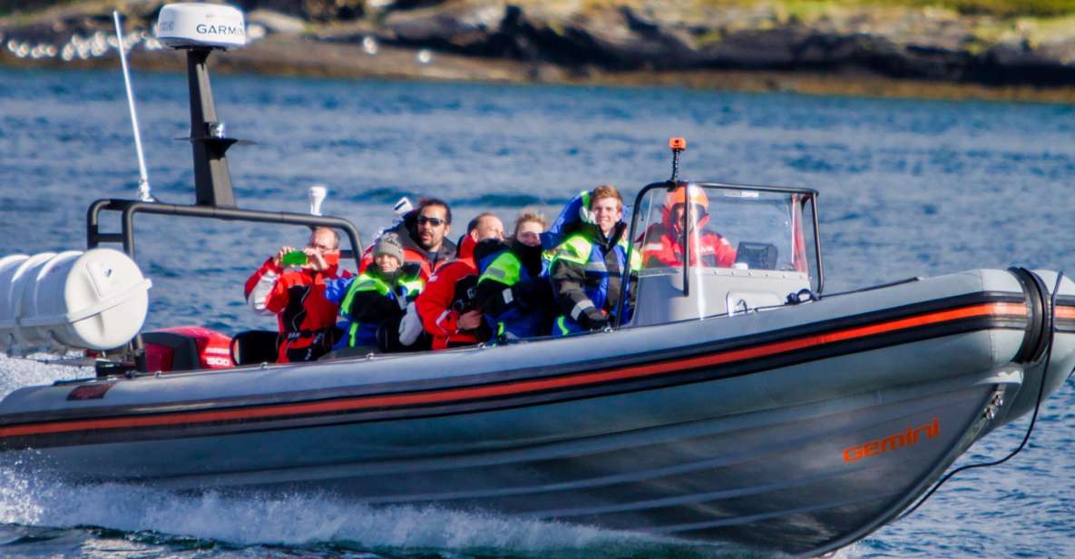 Tromso: Private RIB Speedboat Tour of Hella - Experience Highlights