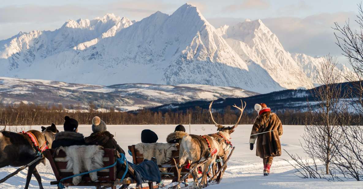 Tromsø: Sámi Reindeer Sledding and Sami Cultural Tour - Activity Duration and Guide