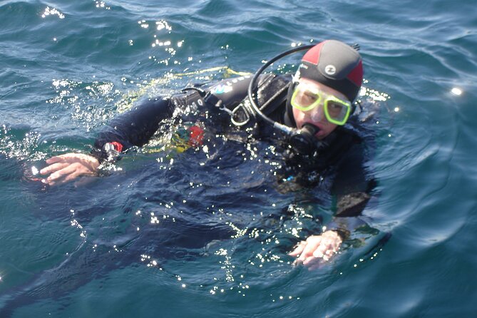 Try Dives - Discover Scuba Diving in Albufeira - Equipment Provided for Underwater Exploration