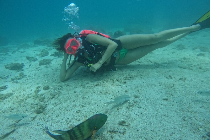 Try Scuba Diving & Snorkeling With BBQ Lunch in Fujairah - Equipment Provided and Safety Briefing