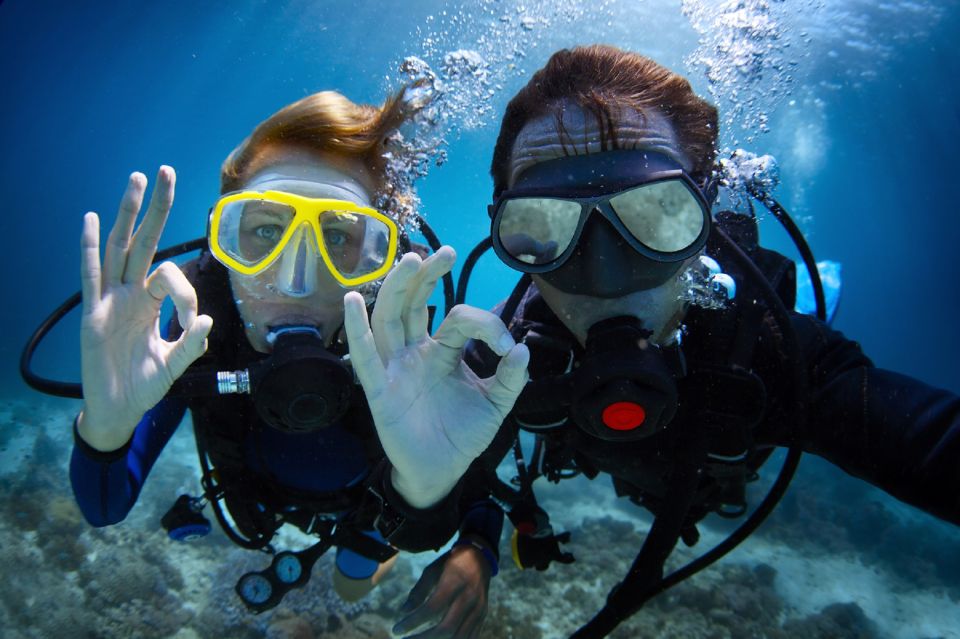 TučEpi: Adriatic Sea Diving Lessons With Guided Dive & Gear - Experience Highlights