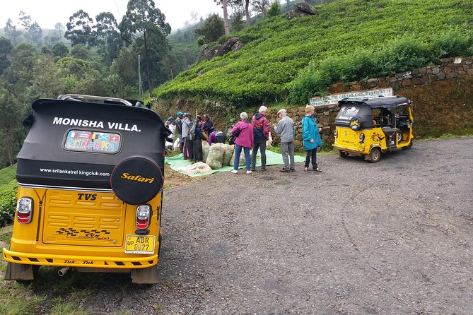 Tuk Tuk Safari and Picnic in the Tea Plantation From Ella,Haputale & Bandarawela - Meeting and Pickup