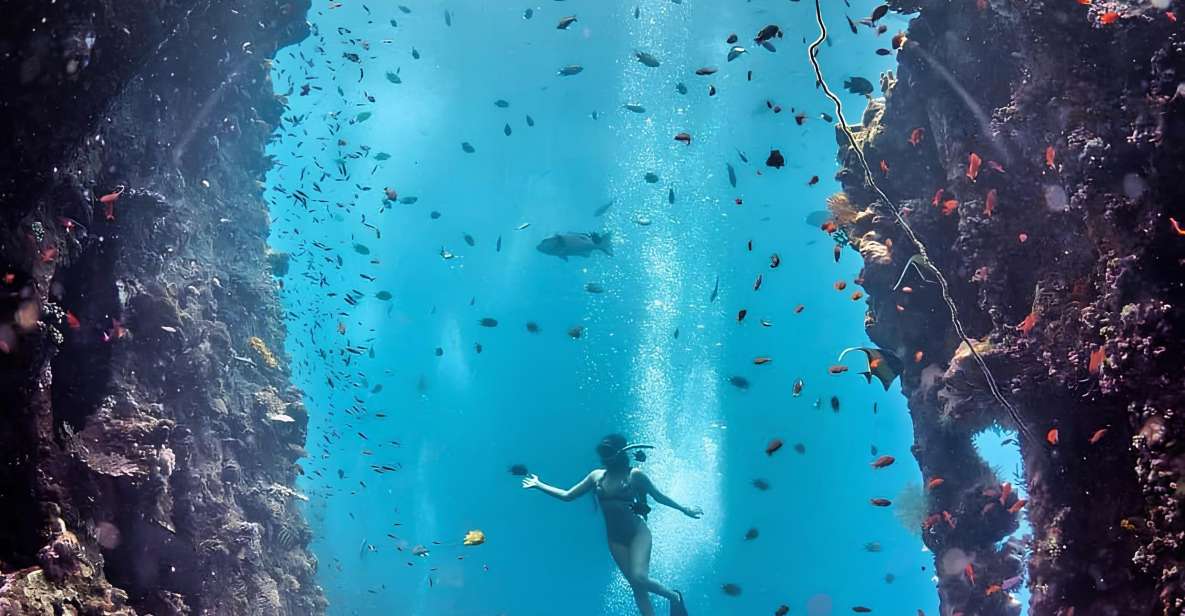 Tulamben Shipwreck Explorer - Diving Into Rich Marine Life