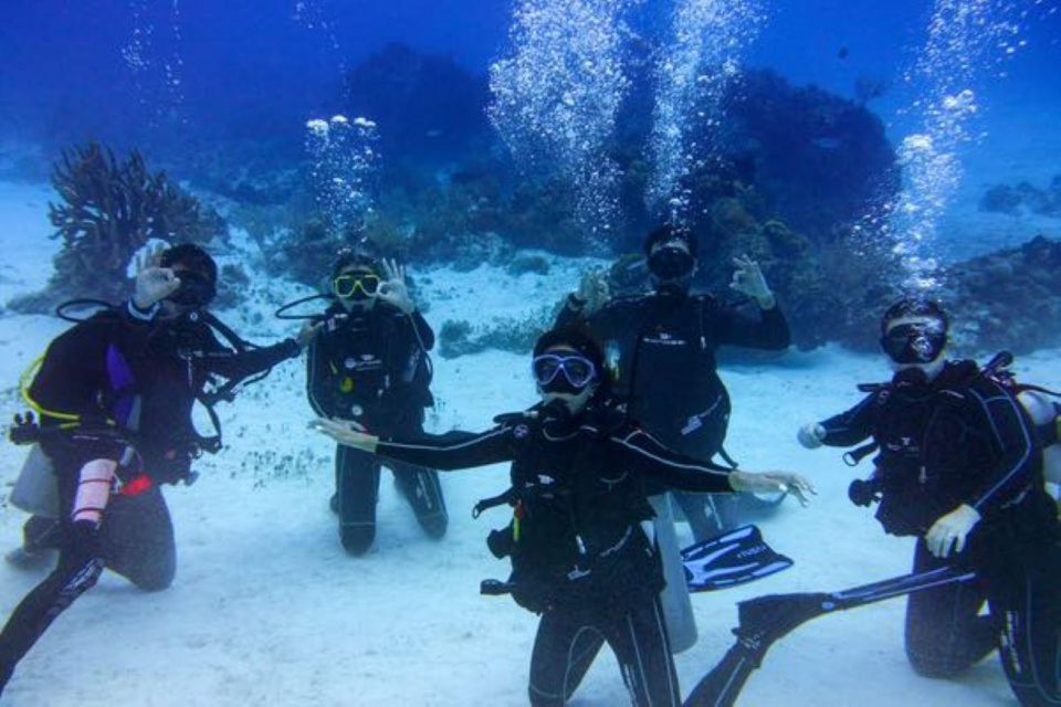 Tulum: Try Scuba Diving Adventure - Activity Duration and Group Size