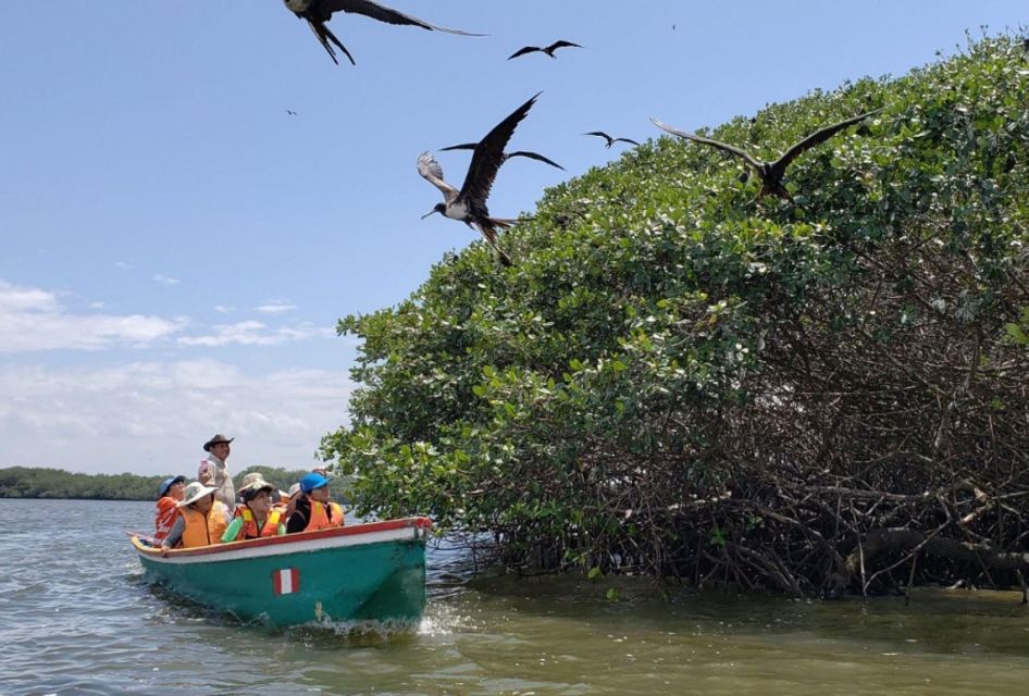 Tumbes: Mangrove National Sanctuary - Canoe Tour Experience