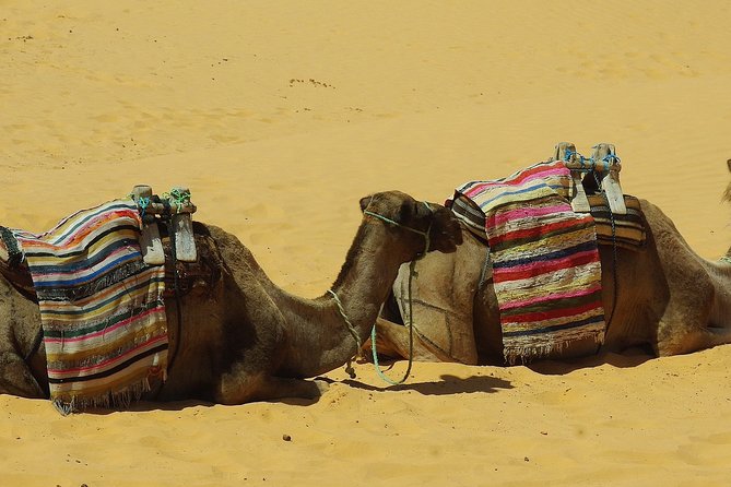 Tunisia Desert 7-Day Private Tour  - Djerba - Meal Inclusions