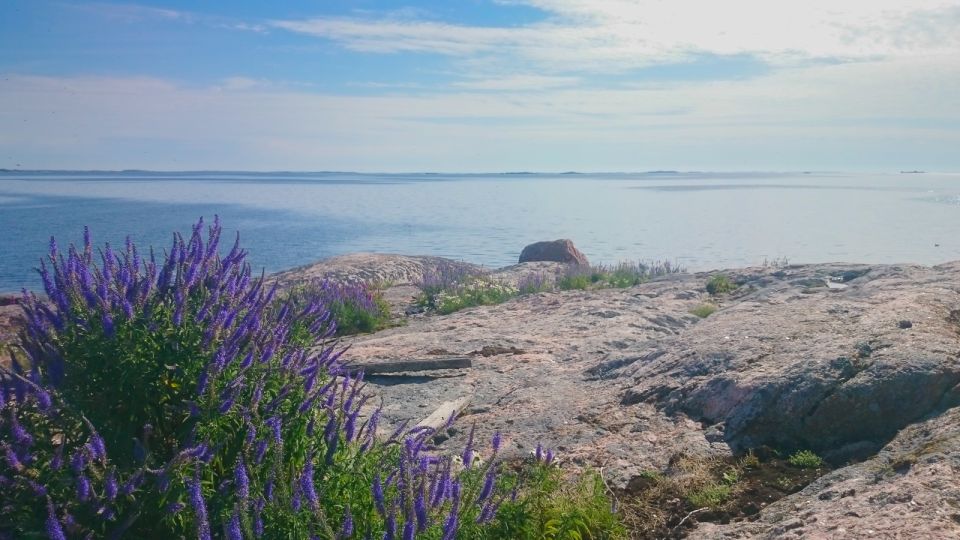 Turku Archipelago: Sea Kayaking Day Tour - Experience Highlights and Itinerary