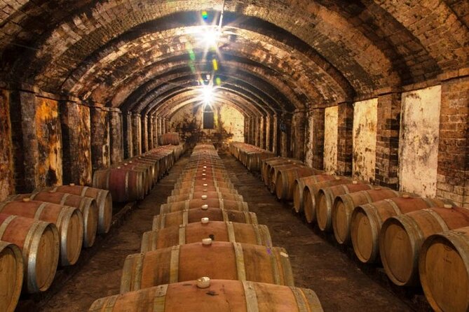 Tuscan Winery Tour and Wine Tasting  - Montecatini Terme - Itinerary Details