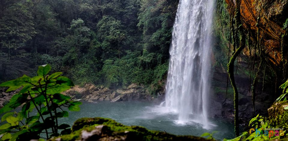 Tuxtla Gutierrez: Agua Azul, Misol Ha & Palenque Experience - Key Highlights