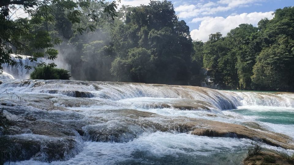 Tuxtla Gutierrez: Palenque Ruins Day Tour With Breakfast - Booking Options