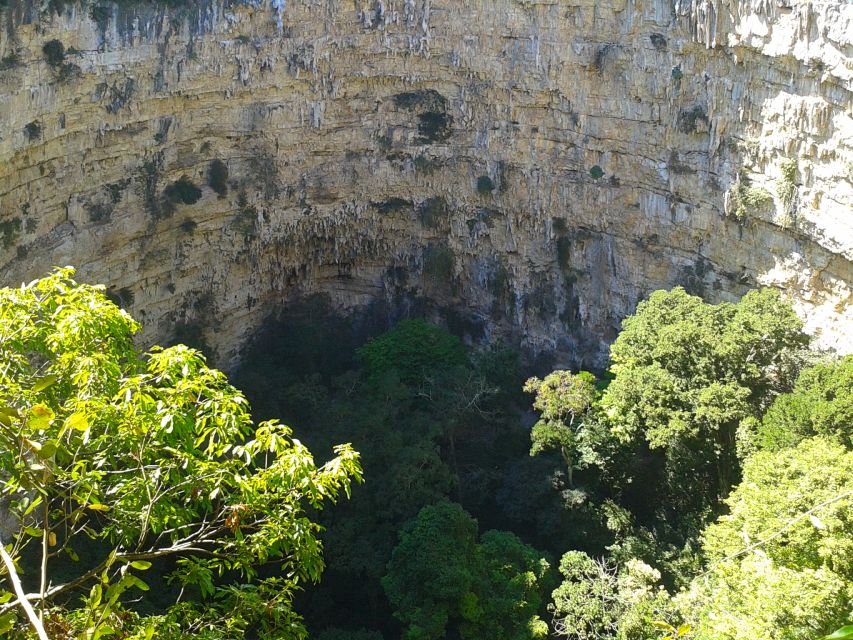 Tuxtla Gutiérrez: Sinkhole of Parrots Full-Day Rappel - Unique Rappelling Experience