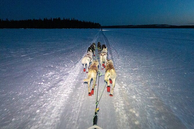 Twilight Husky Experience With 15KM Sled Ride in Rovaniemi - 15KM Thrill on Arctic Trails