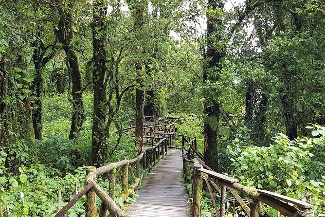 Two Days Doi Inthanon National Park and Karen Trekking - Karen Trekking Experience