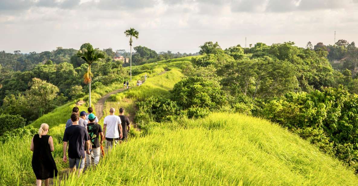 Ubud: 3-Hour Walking Tour With Lunch - Itinerary Overview