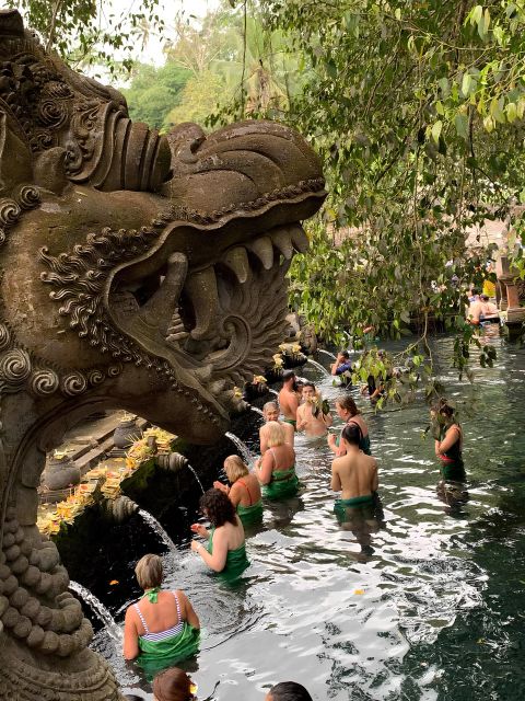 Ubud: Holy Water Temple Cleansing and Hidden Waterfall Tour - Driver and Pickup Services