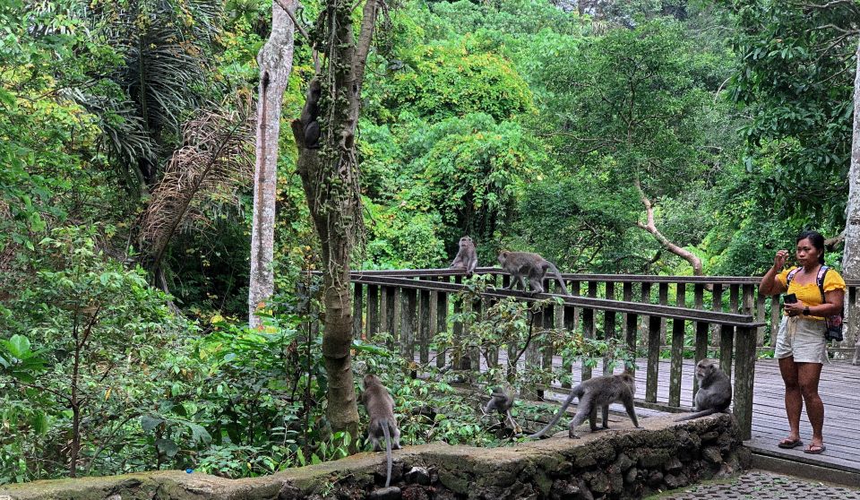 Ubud: Monkey Forest, Waterfall & Rice Terraces Guided Tour - Highlights of the Tour