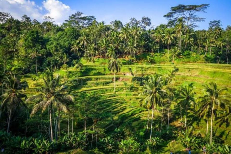 Ubud Private Day Tour With Bali Lady Driver - Waterfall Exploration