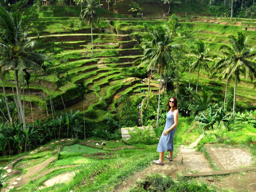 Ubud: Rice Terraces, Waterfall, and Monkey Forest Day Tour - Highlights