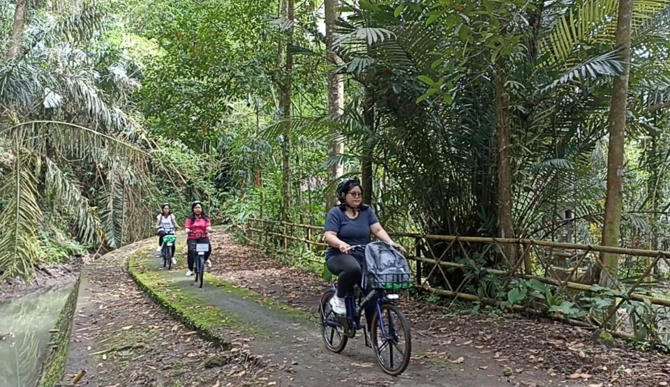 Ubud: South E-Bike Tour & Whitewater Rafting - Experience Highlights