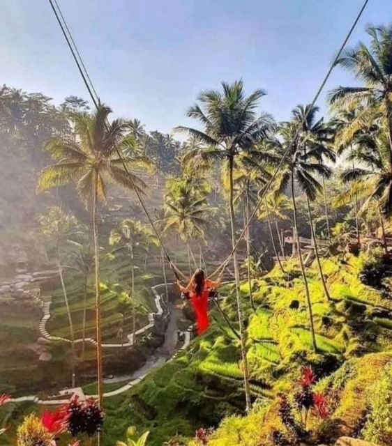 Ubud Tegallalang Rice Terrace Tour - Highlights