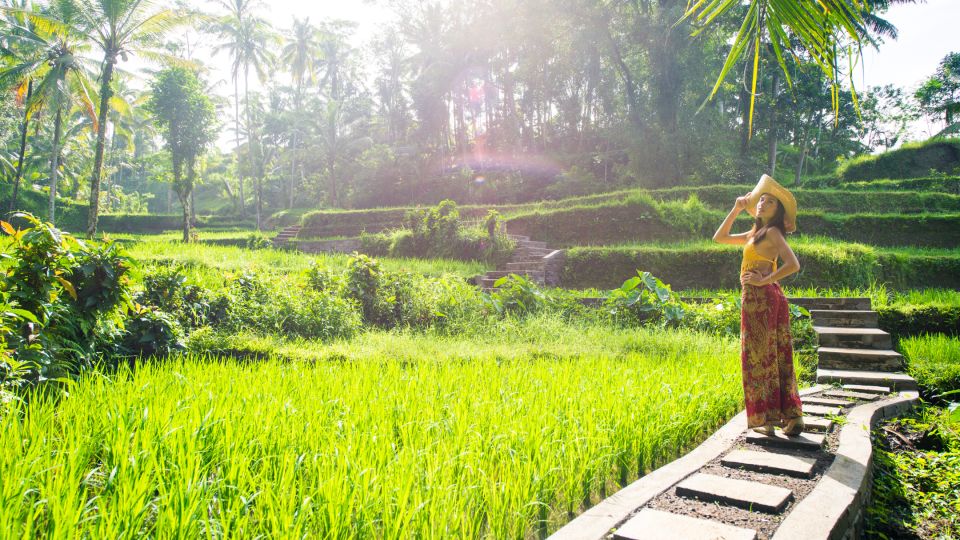 Ubud Tours All In : Monkey Forest, Tegalalang, Tirta Empul - Experience Highlights